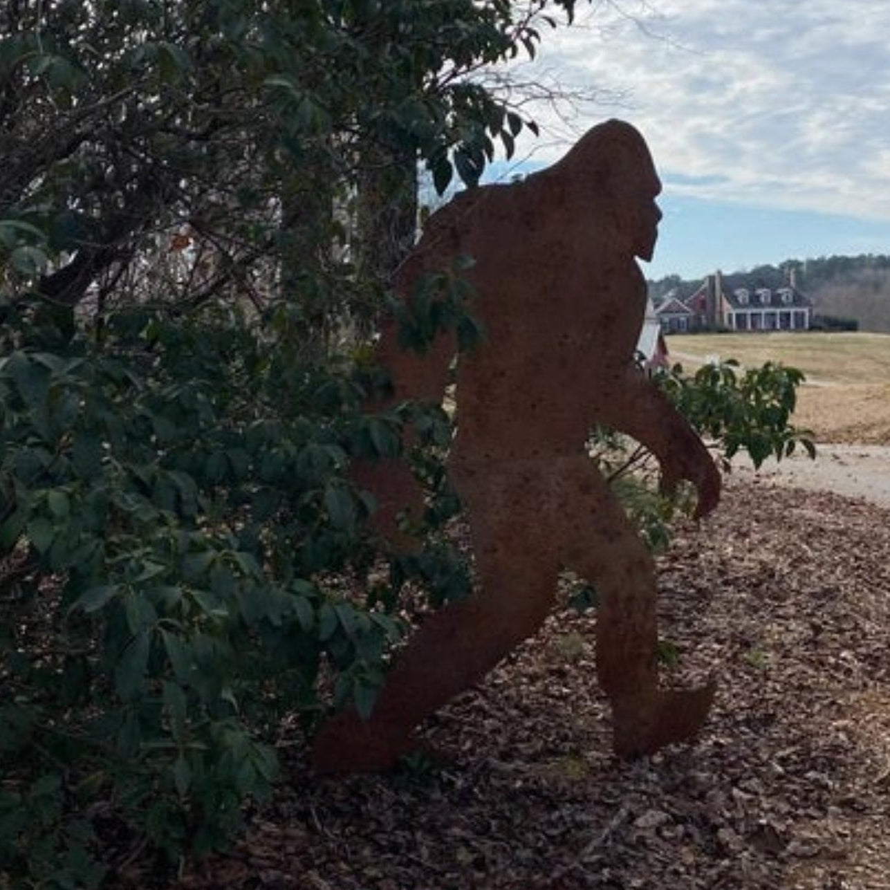 Metal Sasquatch cut-out in a natural setting with trees and a house in the background.