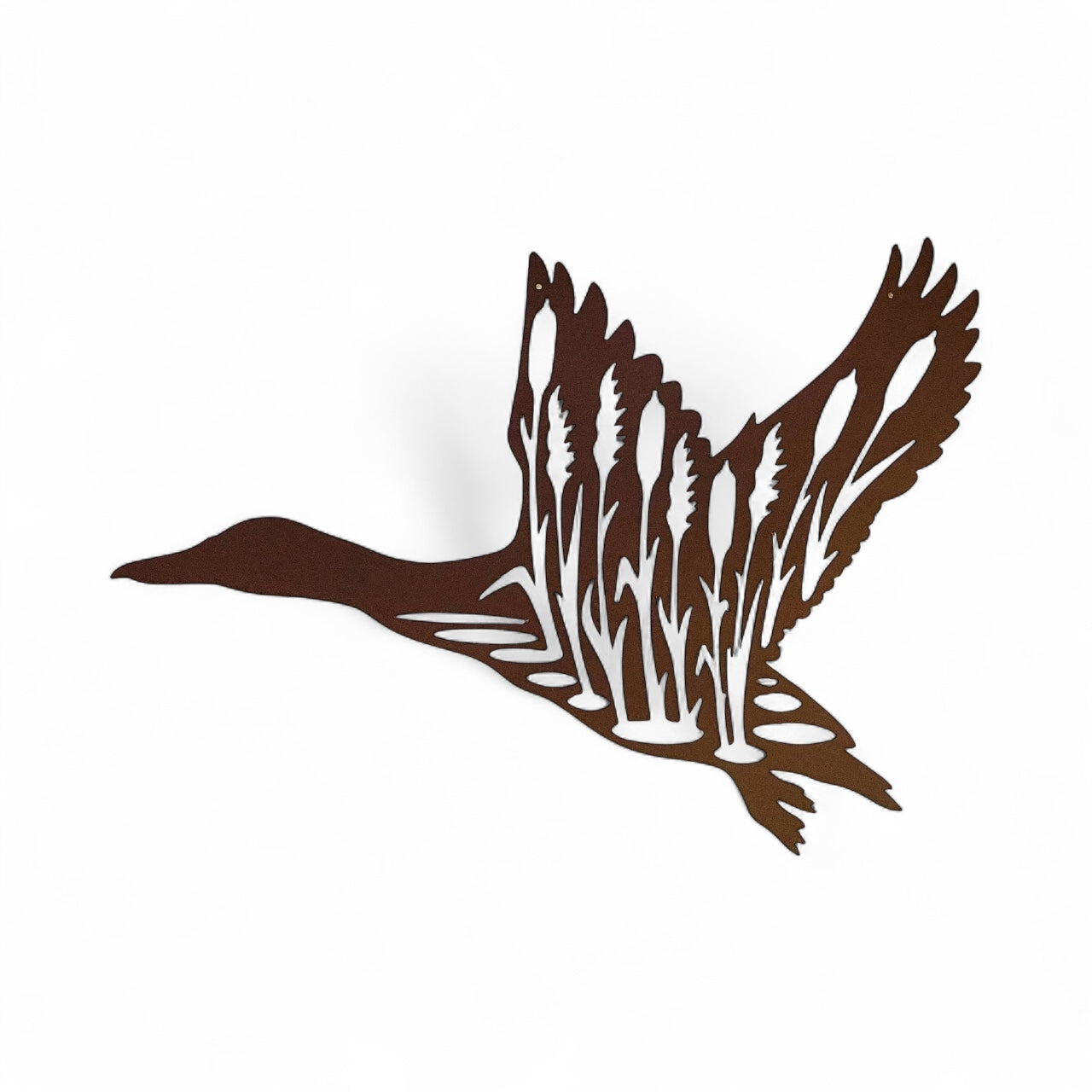 Gracious Waterfowl in Flight