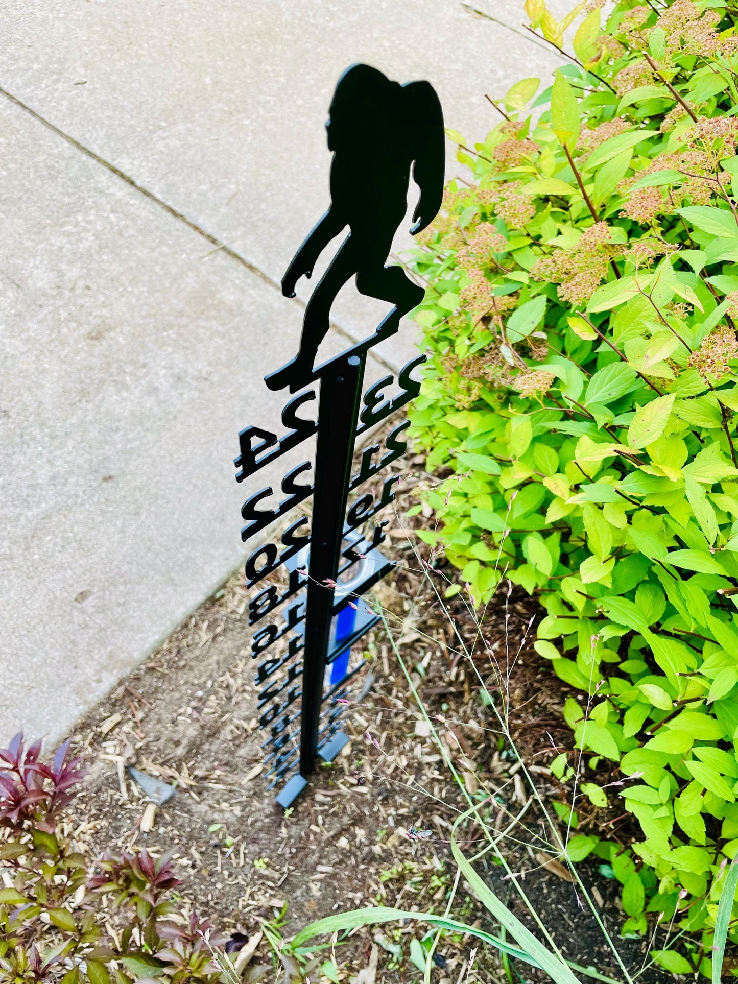 Bigfoot Snow & Rain Gauge